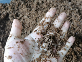 濃香型酒糟擠壓脫水，為您的生產(chǎn)提供解決方案！